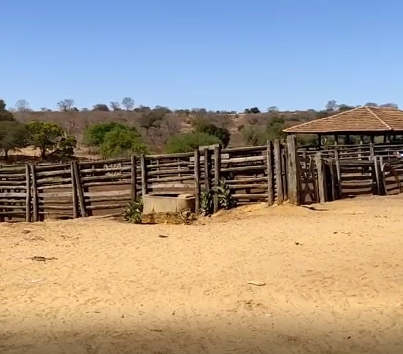 Chácara à venda com 4 quartos, 45370000m² - Foto 5