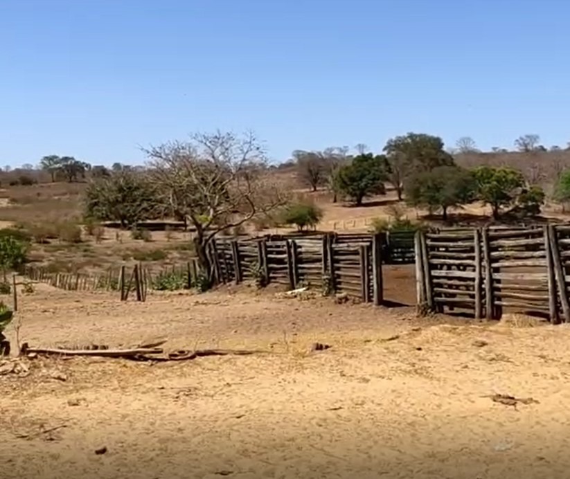 Chácara à venda com 4 quartos, 45370000m² - Foto 6