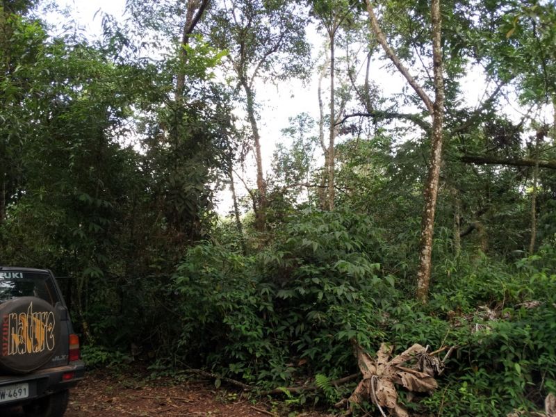 Terreno à venda, 1950m² - Foto 3