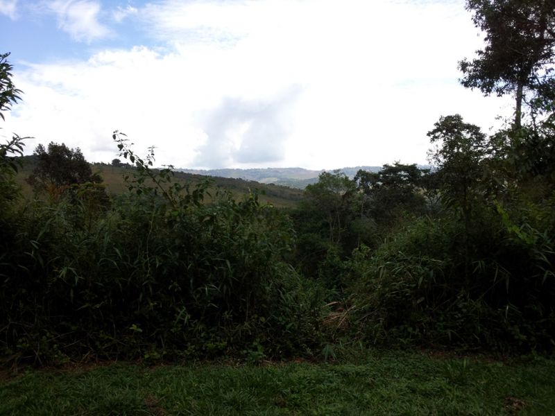 Terreno à venda, 1950m² - Foto 5