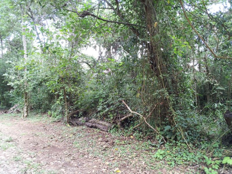 Terreno à venda, 1950m² - Foto 11