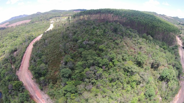 Chácara à venda com 1 quarto, 20000m² - Foto 9