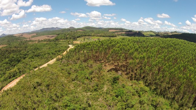 Chácara à venda com 1 quarto, 20000m² - Foto 7