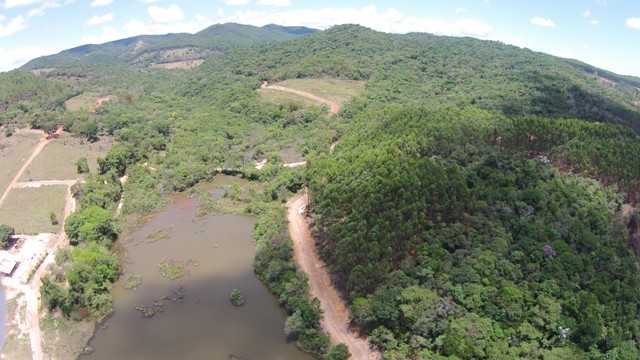 Chácara à venda com 1 quarto, 20000m² - Foto 10