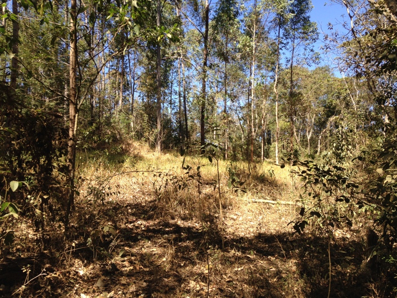 Chácara à venda com 1 quarto, 47000m² - Foto 4