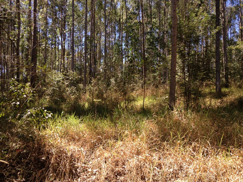 Chácara à venda com 1 quarto, 47000m² - Foto 9