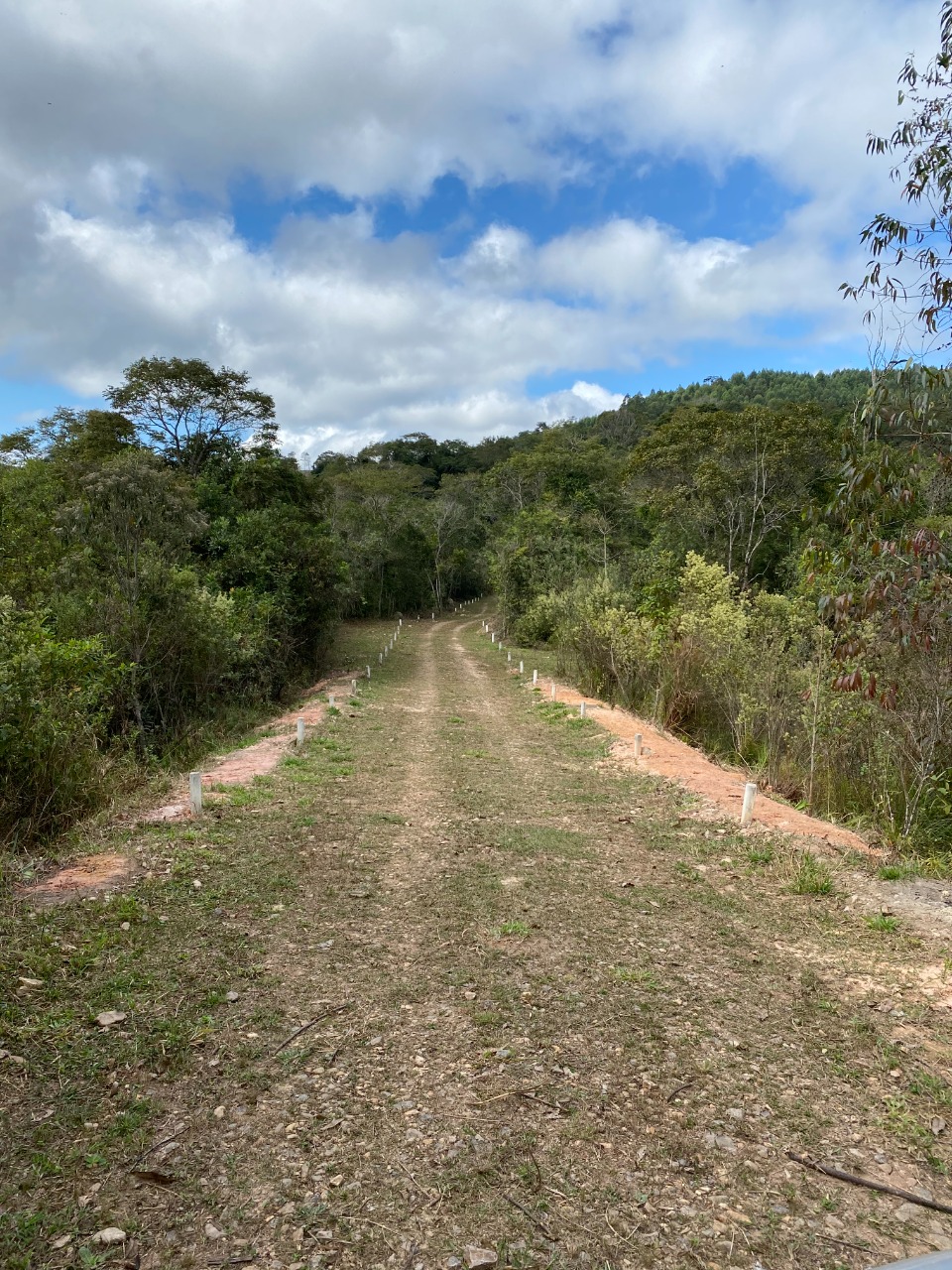 Chácara à venda com 1 quarto, 20000m² - Foto 14