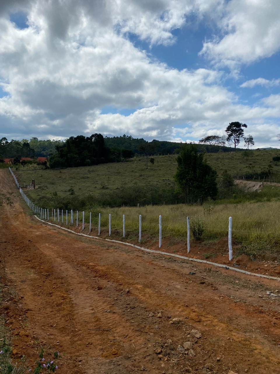 Chácara à venda com 1 quarto, 20000m² - Foto 11