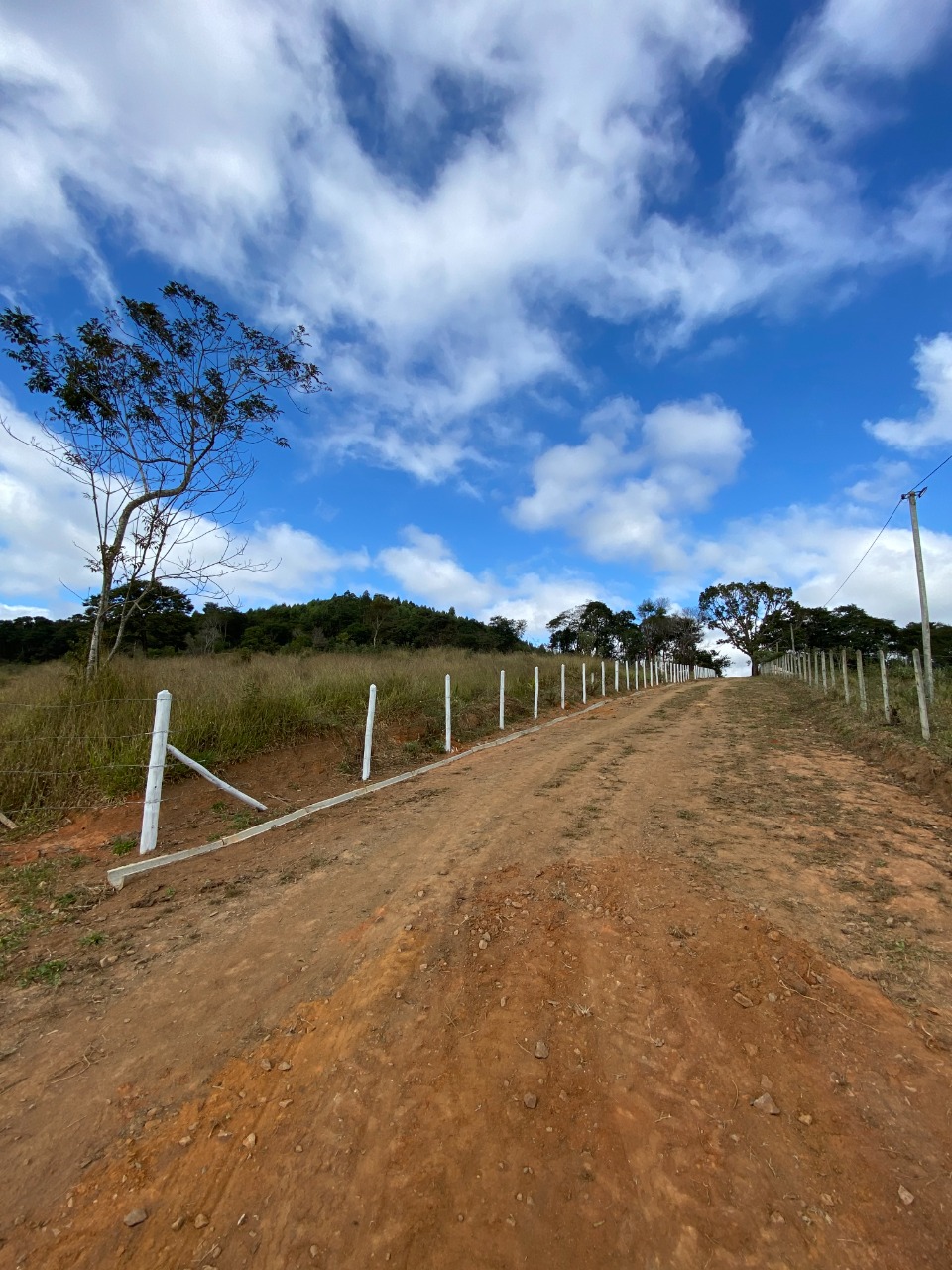 Chácara à venda com 1 quarto, 20000m² - Foto 13