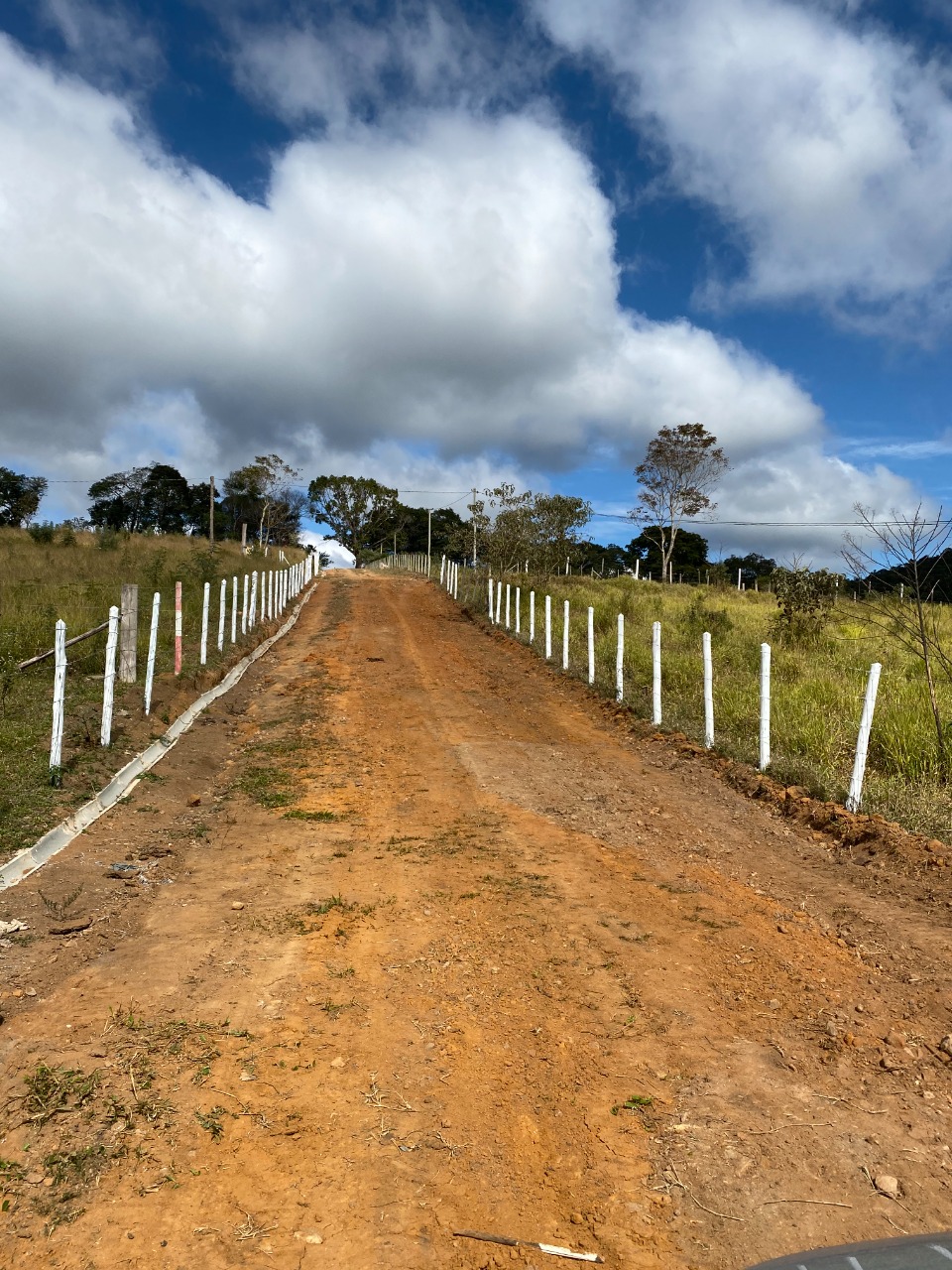 Chácara à venda com 1 quarto, 20000m² - Foto 9