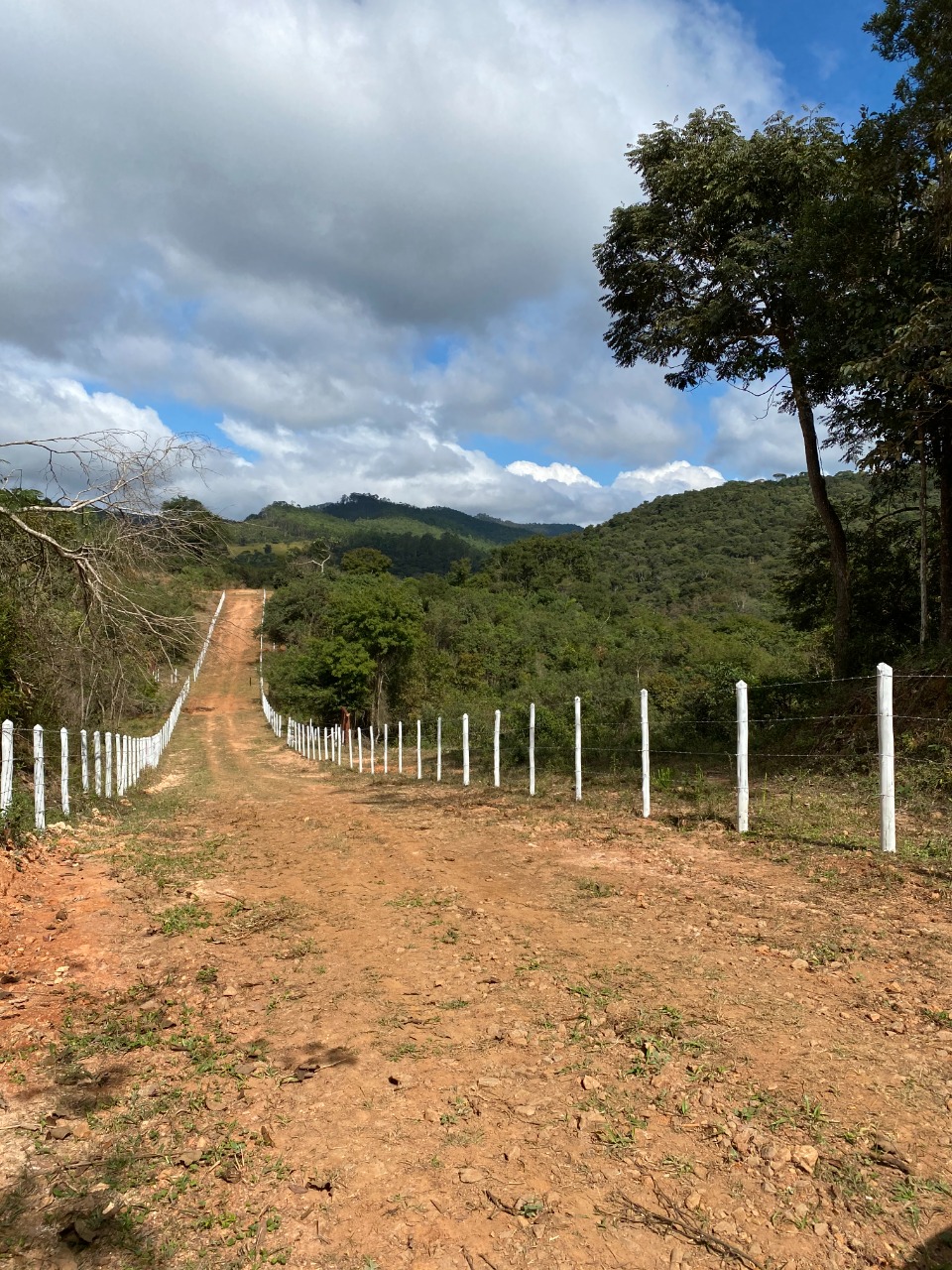 Chácara à venda com 1 quarto, 20000m² - Foto 3