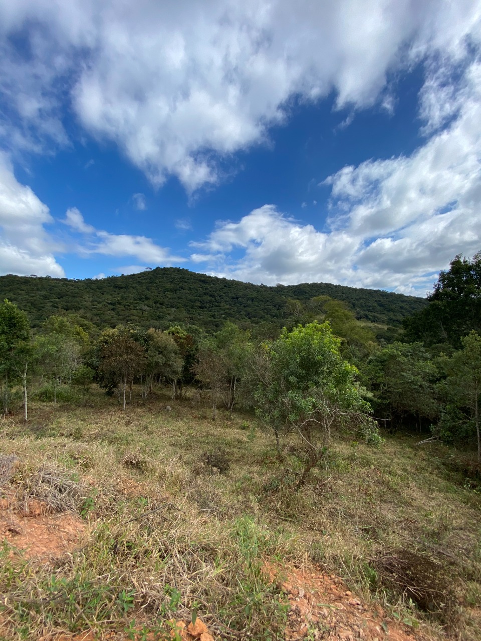 Chácara à venda com 1 quarto, 20000m² - Foto 4