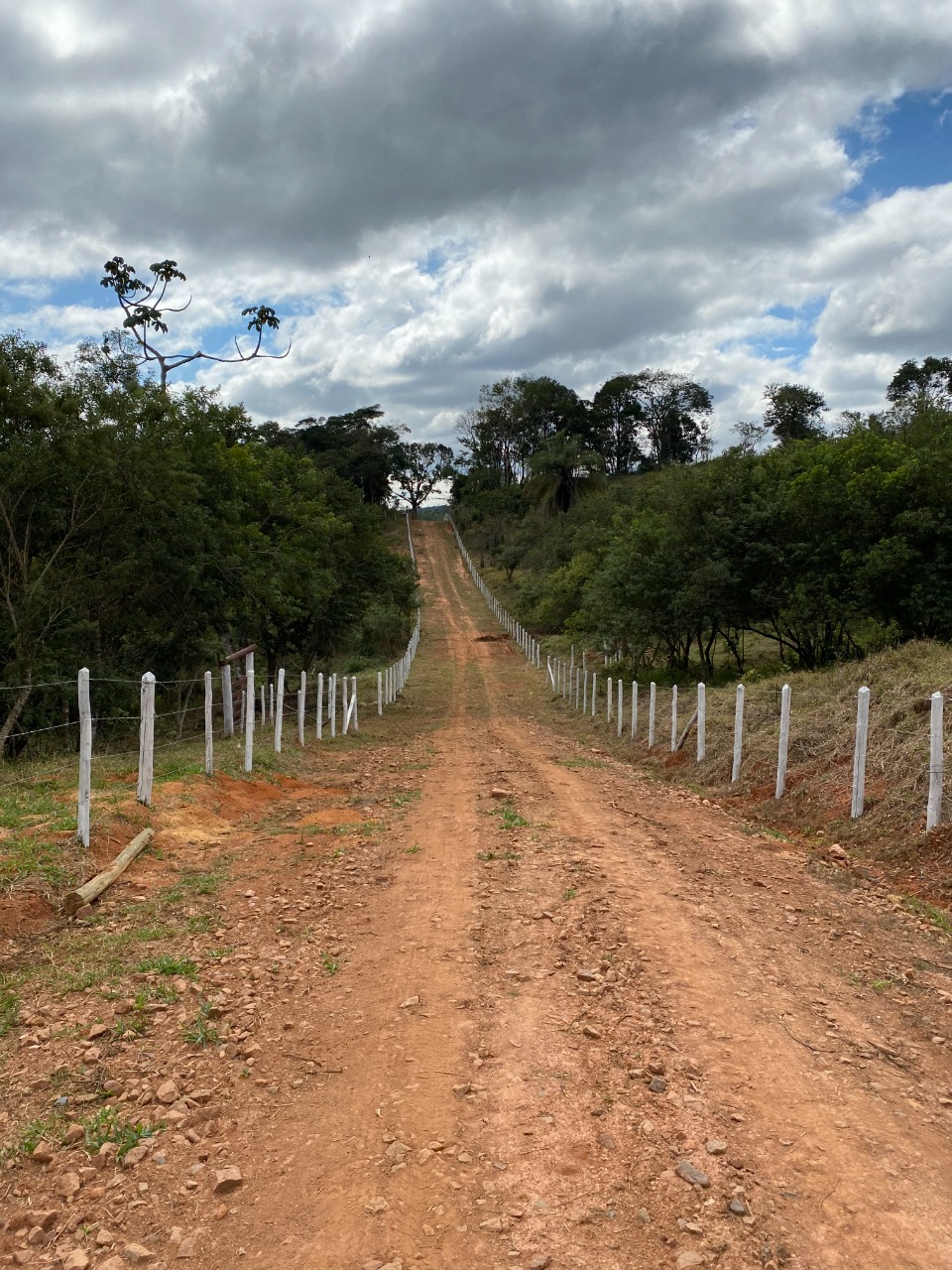 Chácara à venda com 1 quarto, 20000m² - Foto 12