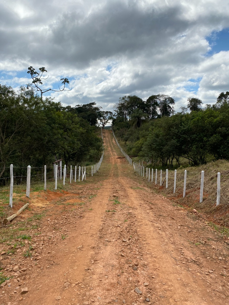 Chácara à venda com 1 quarto, 20000m² - Foto 6