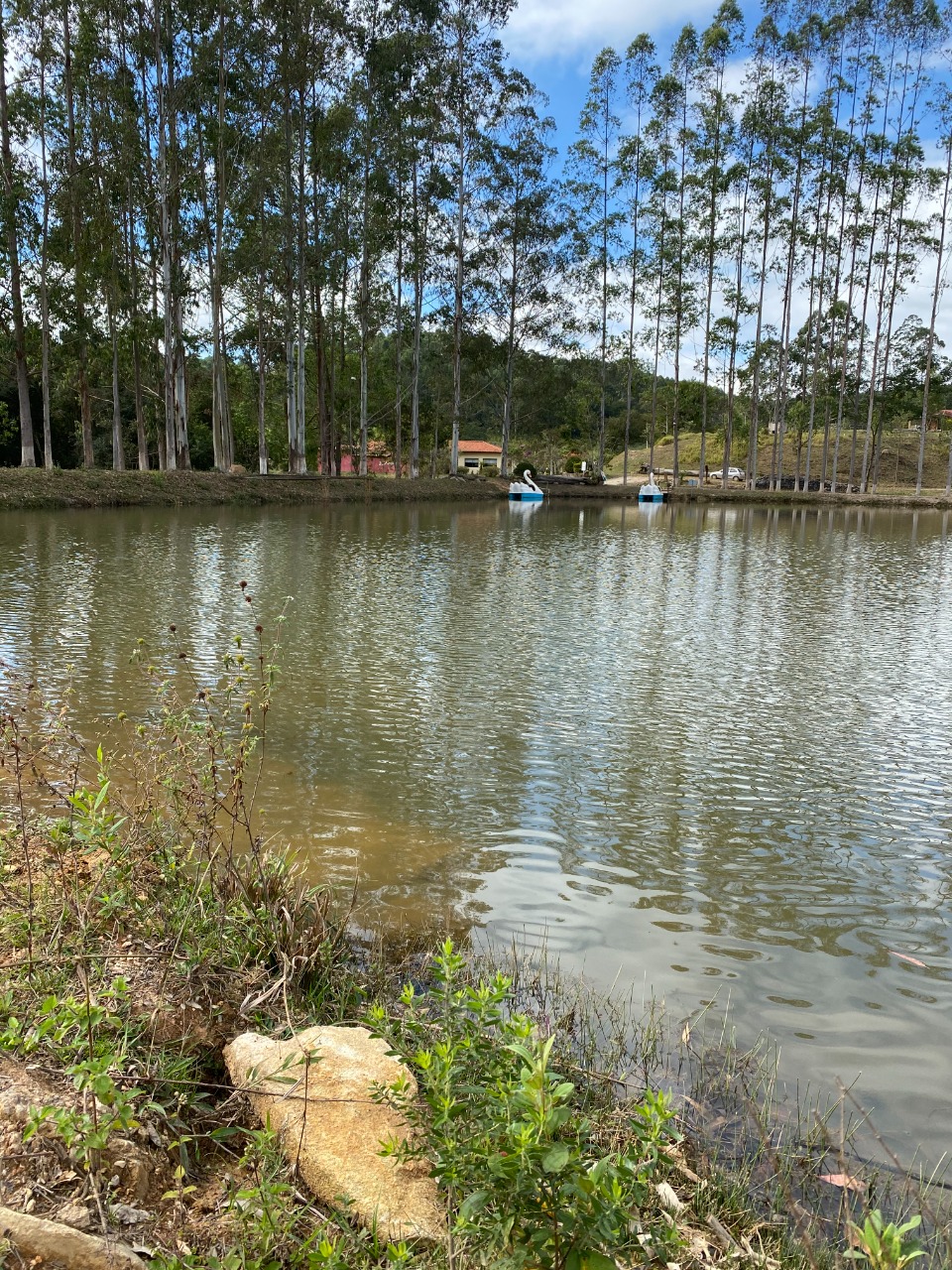 Chácara à venda com 1 quarto, 20000m² - Foto 18