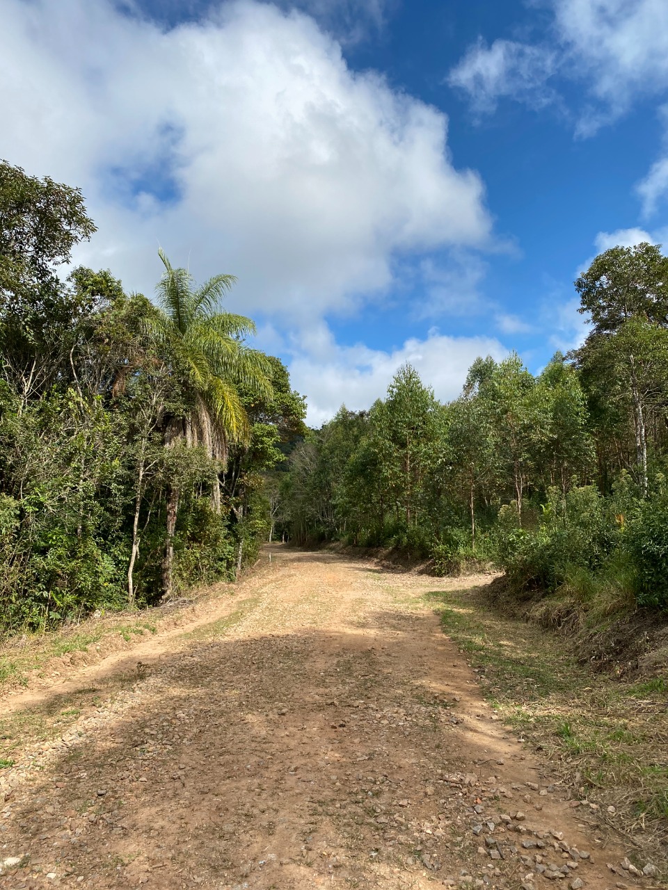 Chácara à venda com 1 quarto, 20000m² - Foto 5