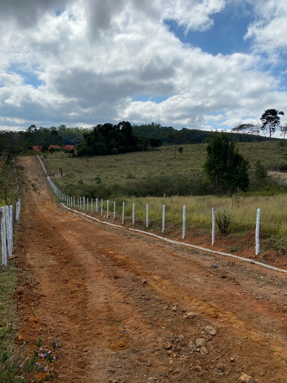 Chácara à venda com 1 quarto, 20000m² - Foto 3