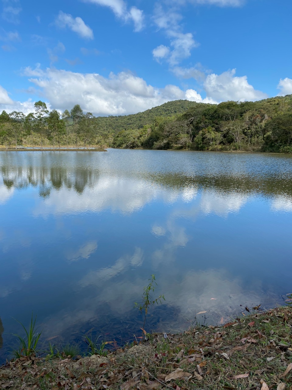 Chácara à venda com 1 quarto, 20000m² - Foto 10