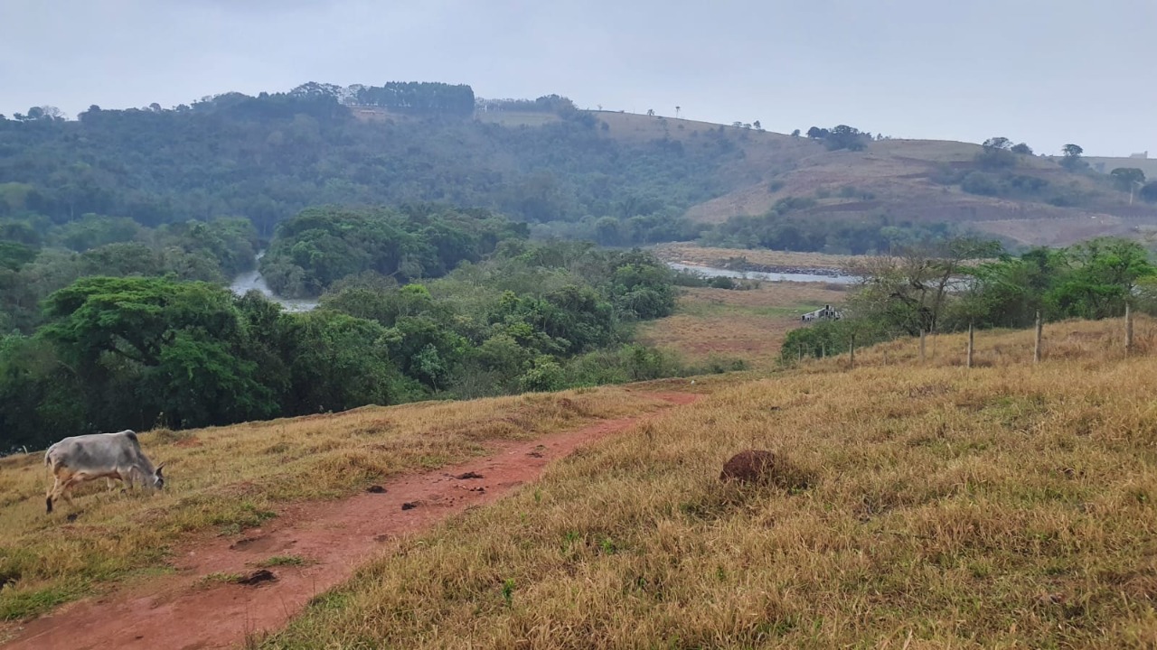 Terreno à venda, 212500m² - Foto 9