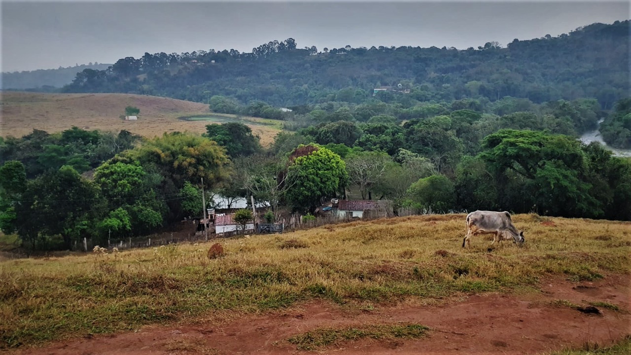 Terreno à venda, 212500m² - Foto 8