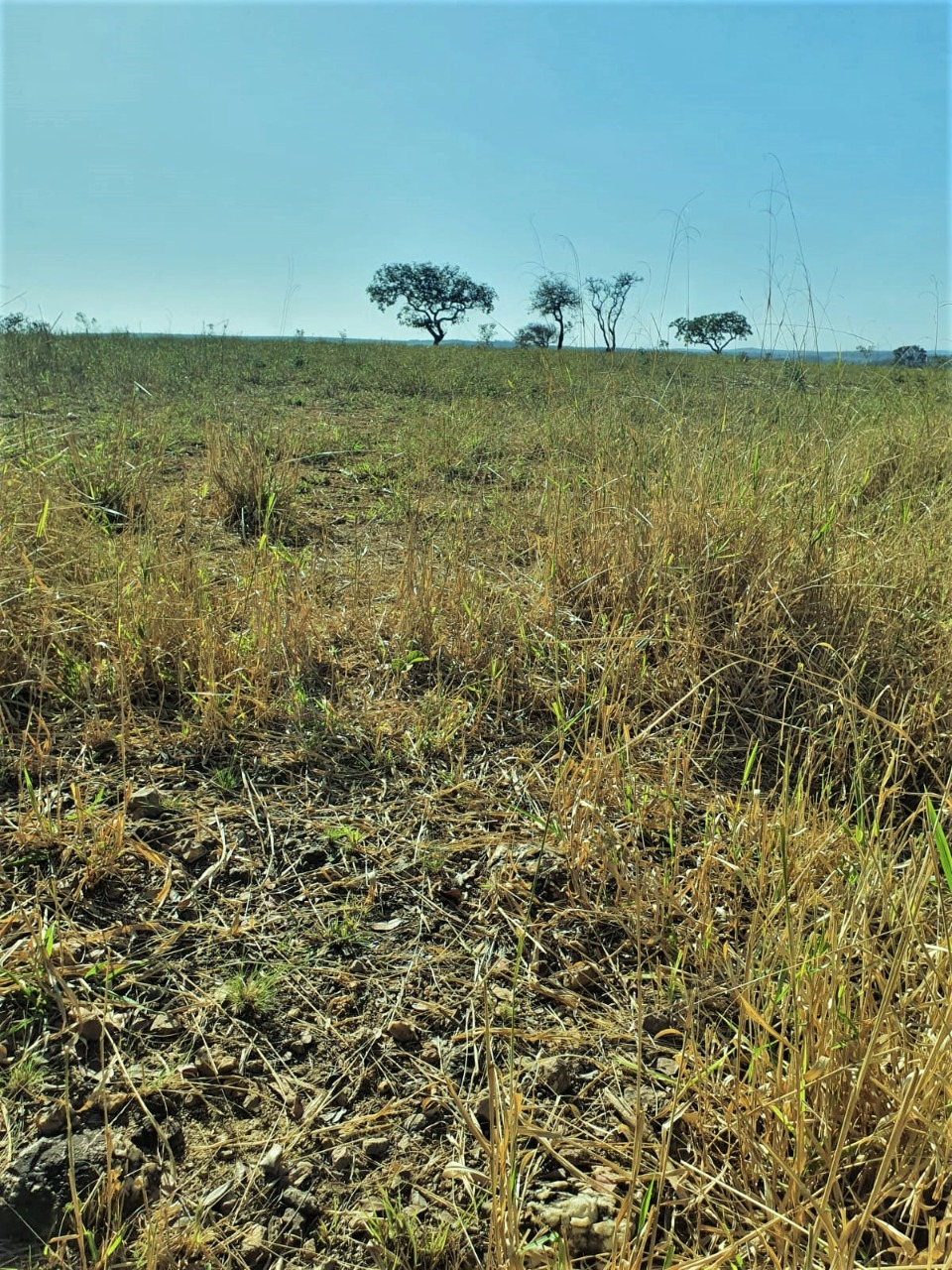 Chácara à venda com 1 quarto, 3220000m² - Foto 8