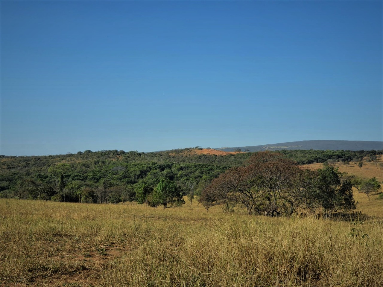 Chácara à venda com 1 quarto, 3220000m² - Foto 5