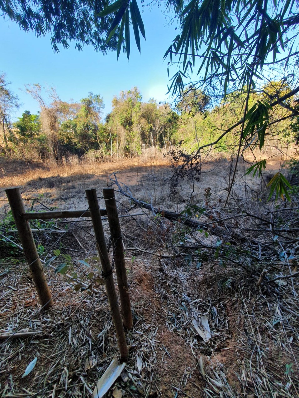 Chácara à venda com 1 quarto, 3220000m² - Foto 9