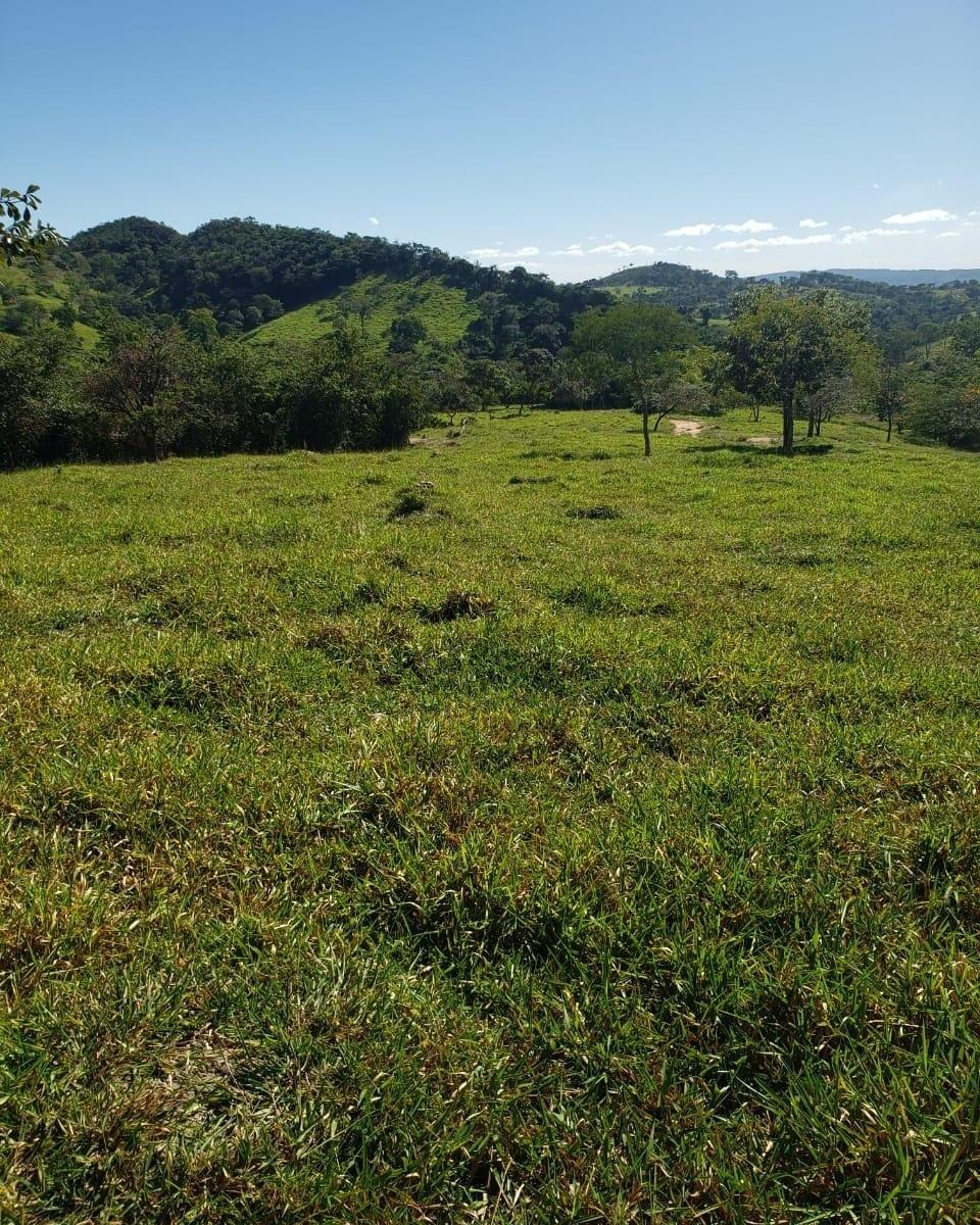 Chácara à venda com 1 quarto, 3220000m² - Foto 12