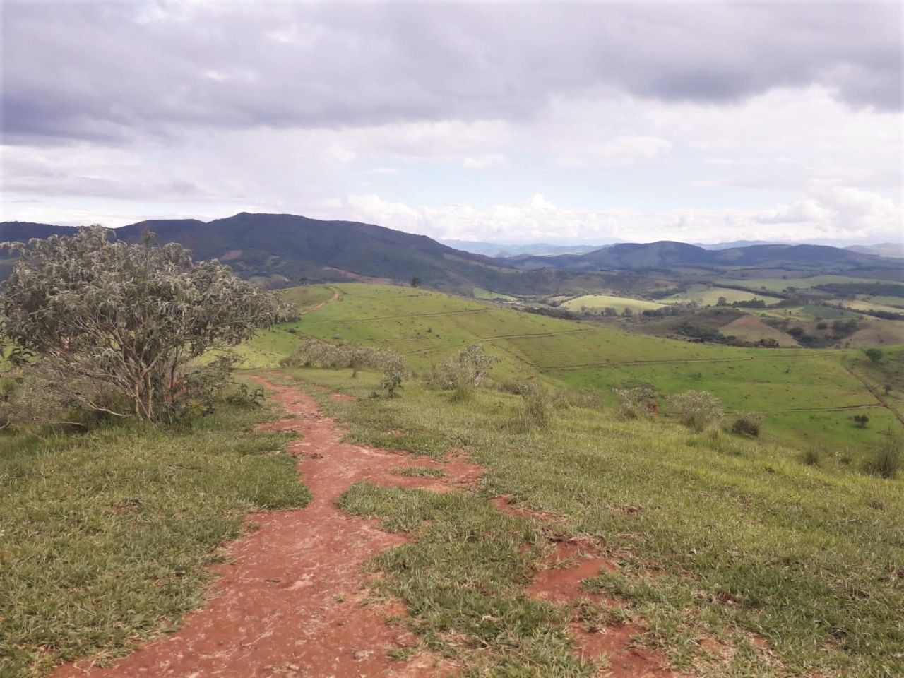 Chácara à venda com 2 quartos, 3680000m² - Foto 4