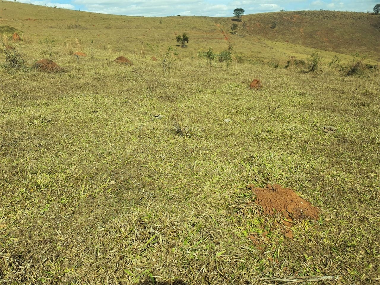 Chácara à venda com 2 quartos, 3680000m² - Foto 11