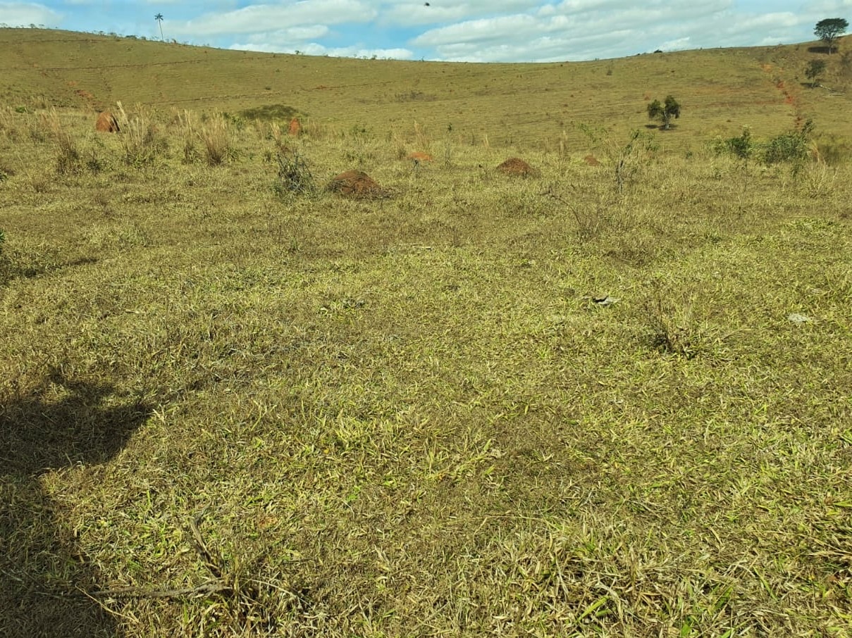 Chácara à venda com 2 quartos, 3680000m² - Foto 12