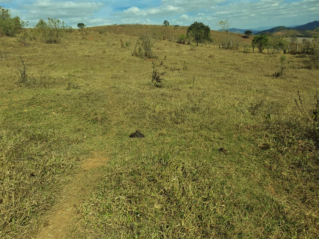 Chácara à venda com 2 quartos, 3680000m² - Foto 1