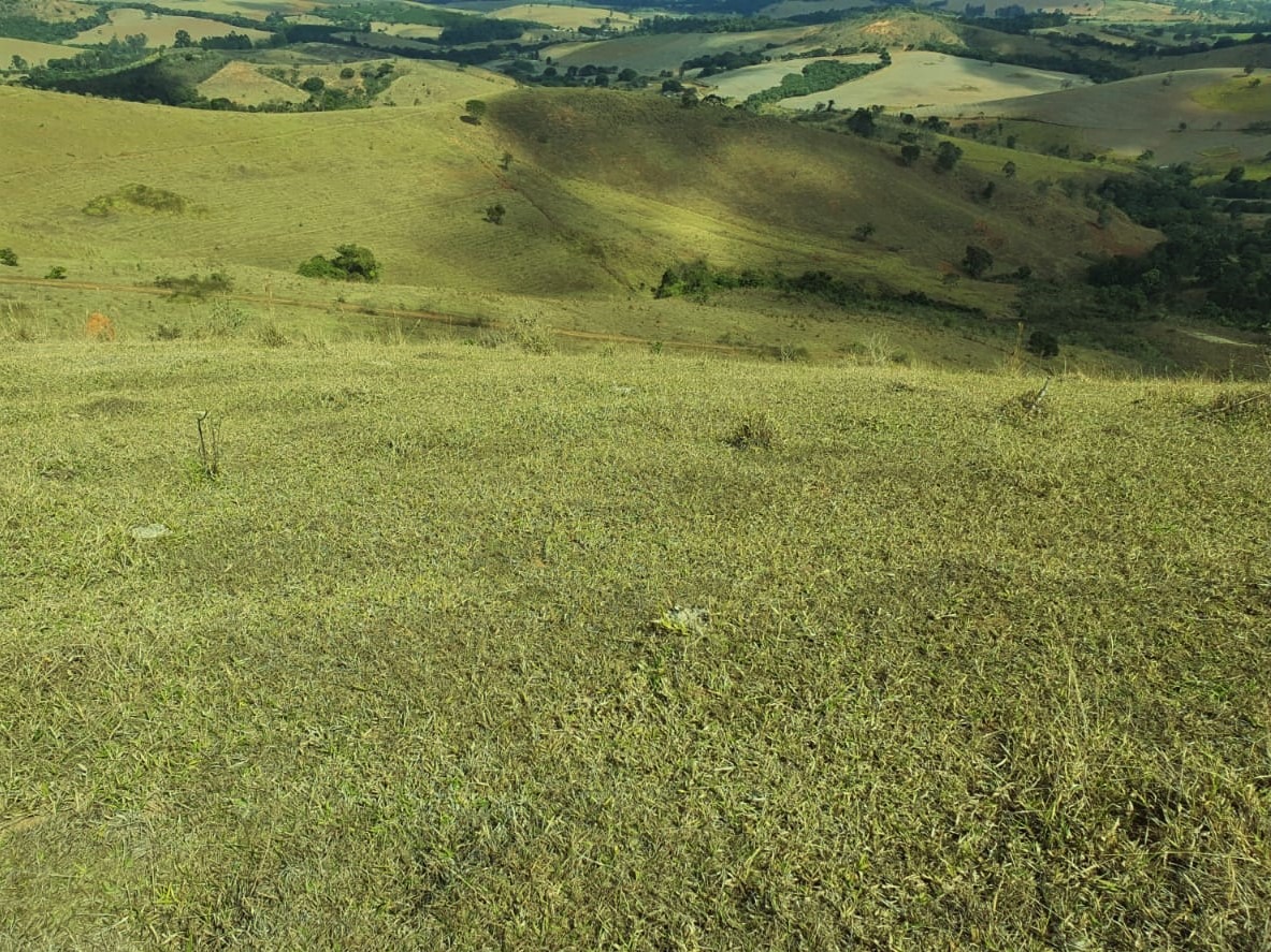 Chácara à venda com 2 quartos, 3680000m² - Foto 13