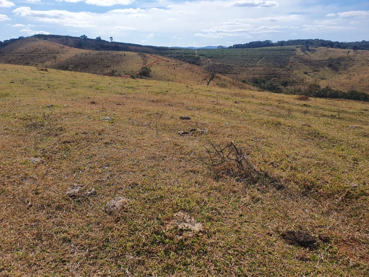 Chácara à venda com 2 quartos, 3680000m² - Foto 21