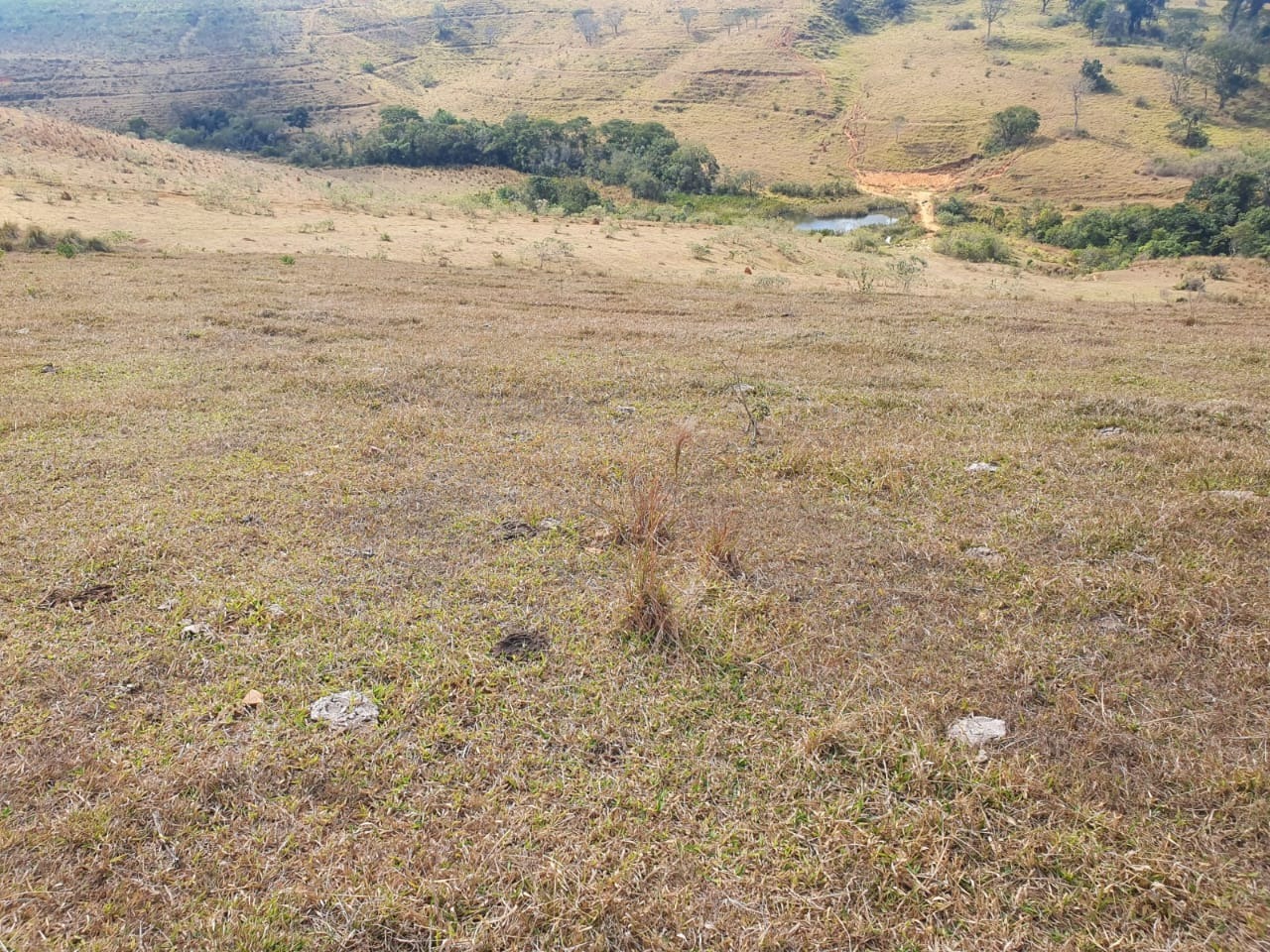 Chácara à venda com 2 quartos, 3680000m² - Foto 23