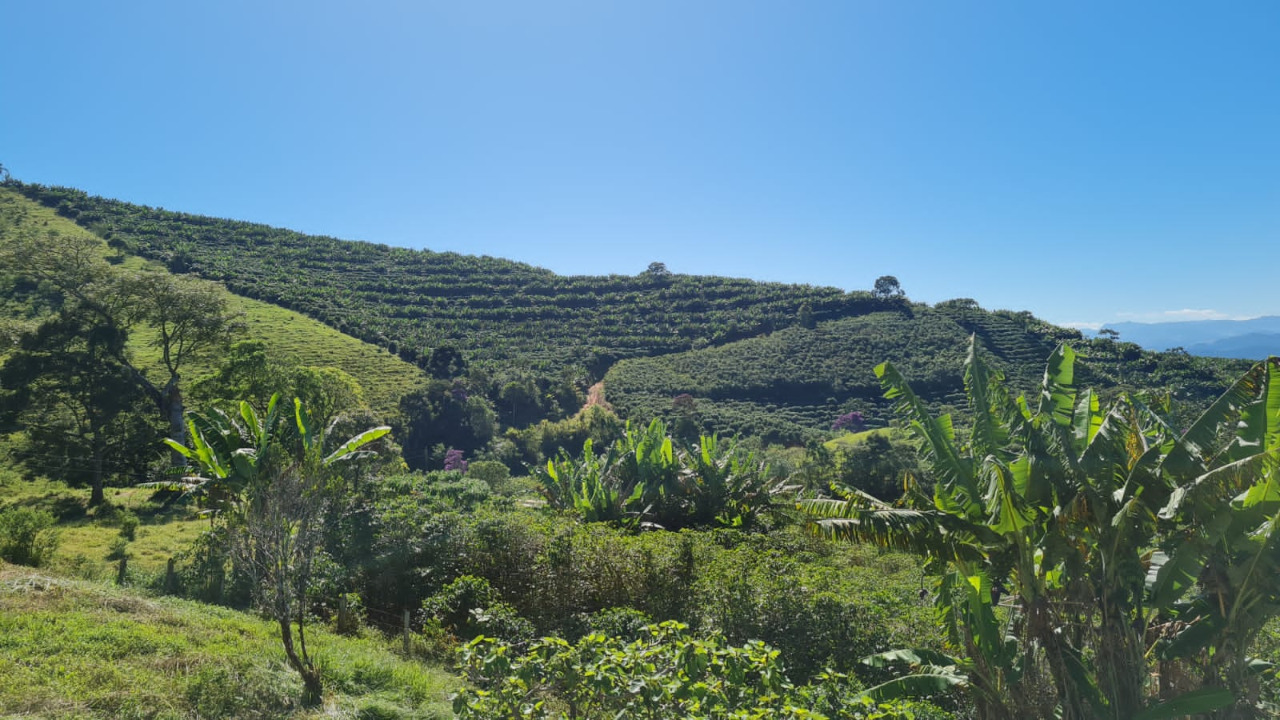 Chácara à venda com 3 quartos, 623500m² - Foto 7