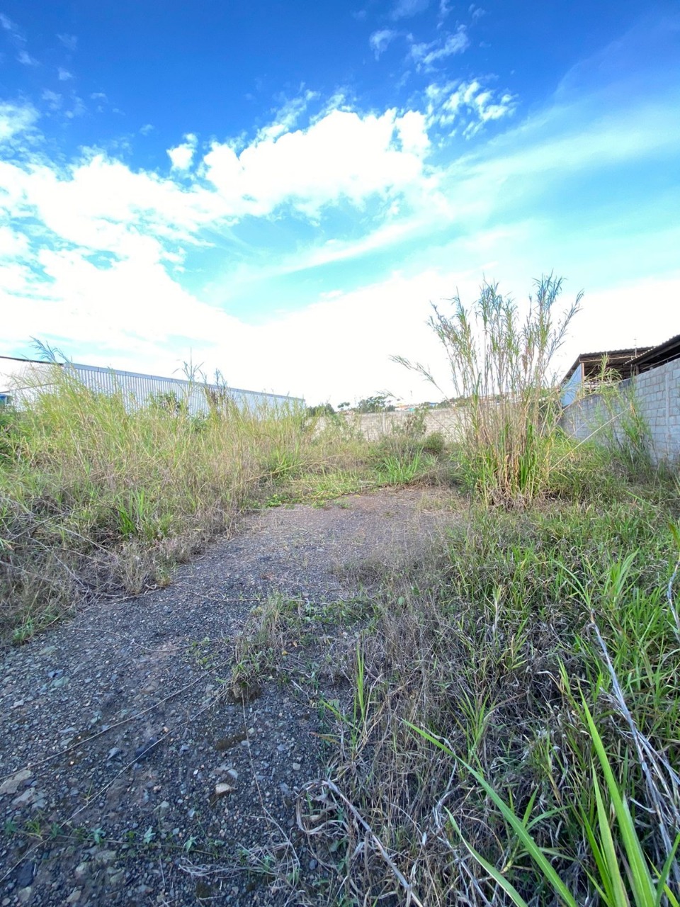 Terreno à venda, 1000m² - Foto 2