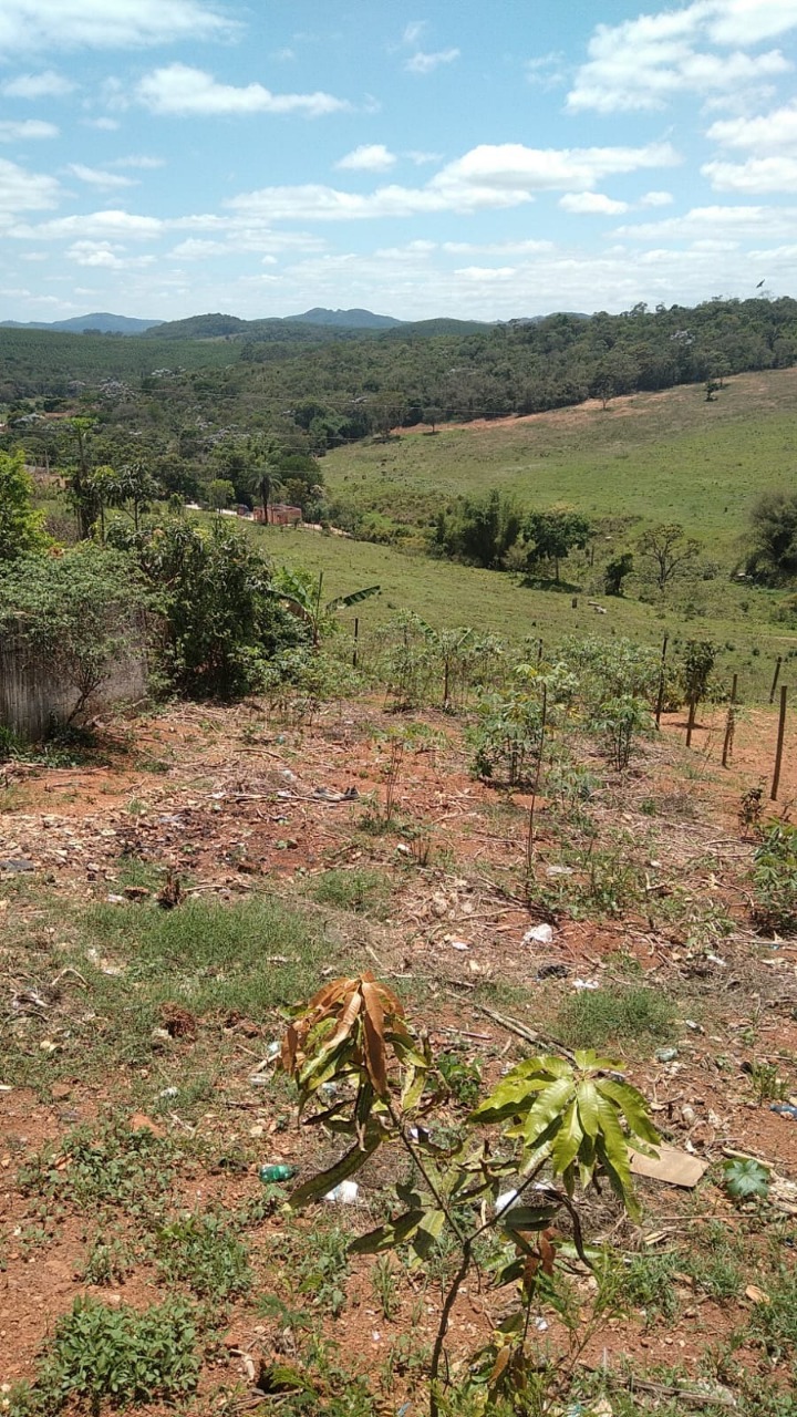 Terreno à venda, 240m² - Foto 3