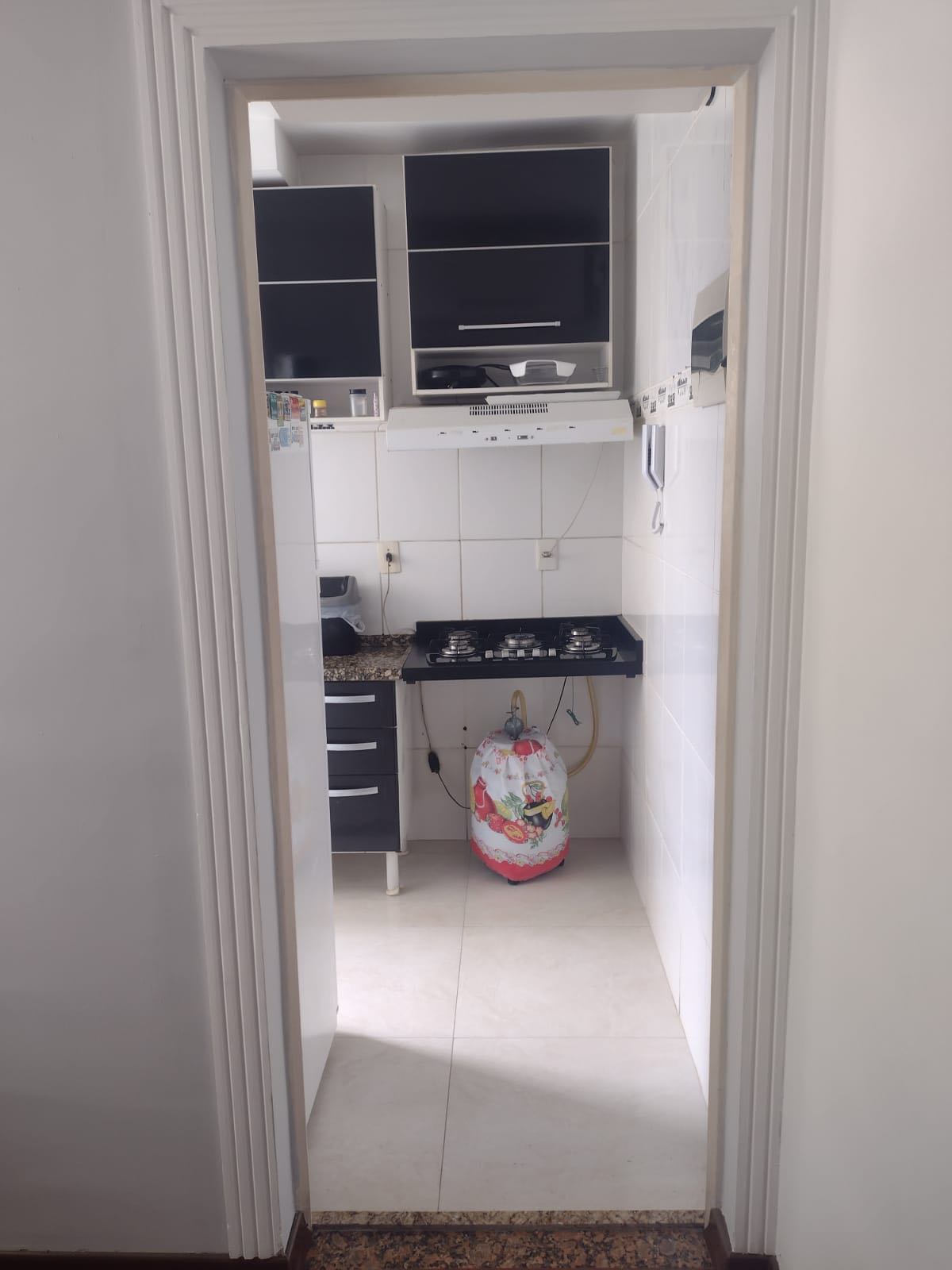 Apartamento à venda com 2 quartos, 50m² - Foto 4