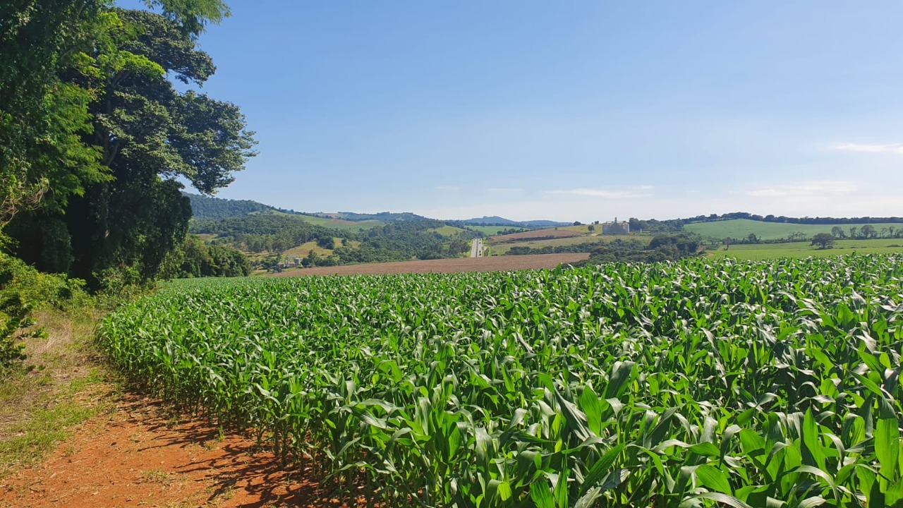 Terreno à venda, 242000m² - Foto 6