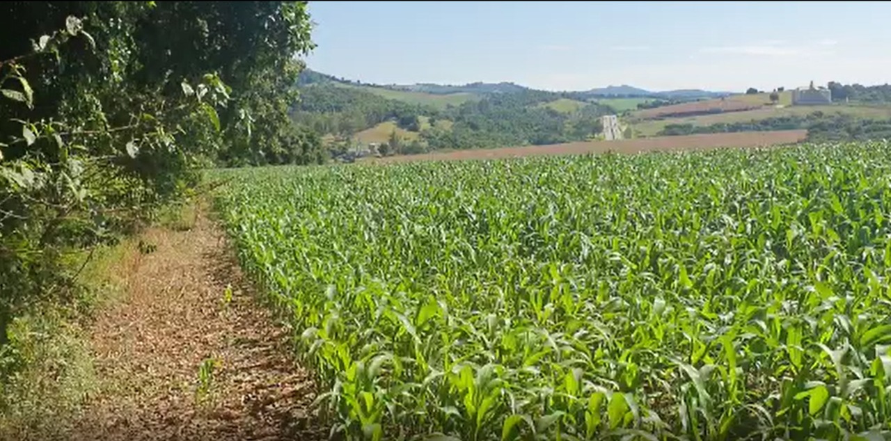 Terreno à venda, 242000m² - Foto 11