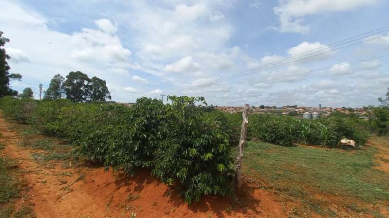 Chácara à venda com 1 quarto, 20000m² - Foto 4