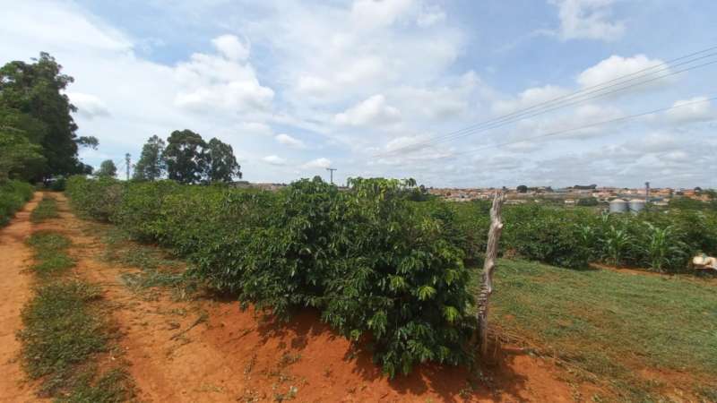 Chácara à venda com 1 quarto, 20000m² - Foto 3