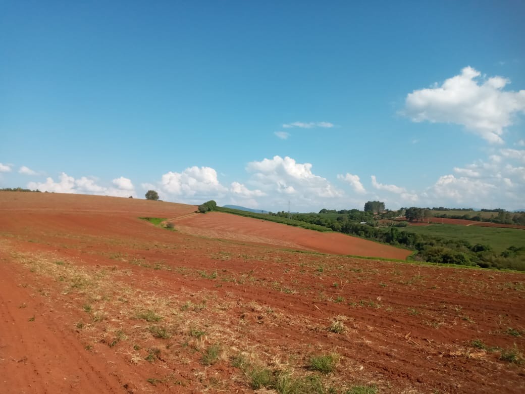 Terreno à venda, 400000m² - Foto 3