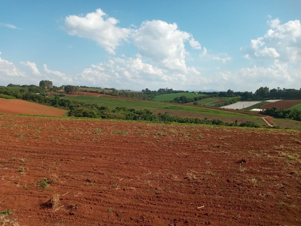 Terreno à venda, 400000m² - Foto 4