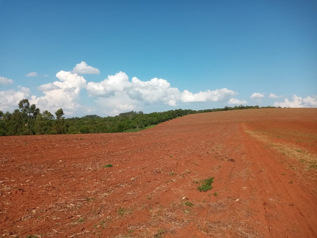 Terreno à venda, 400000m² - Foto 5