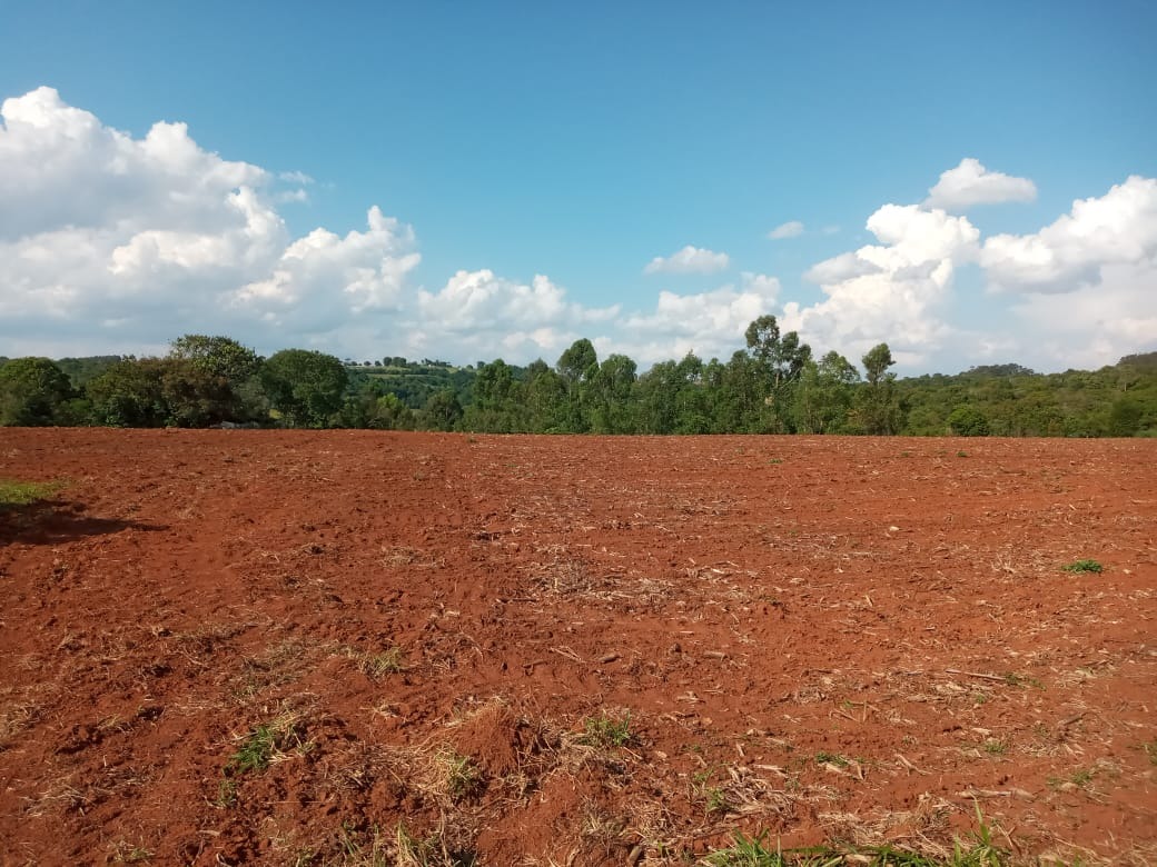 Terreno à venda, 400000m² - Foto 6