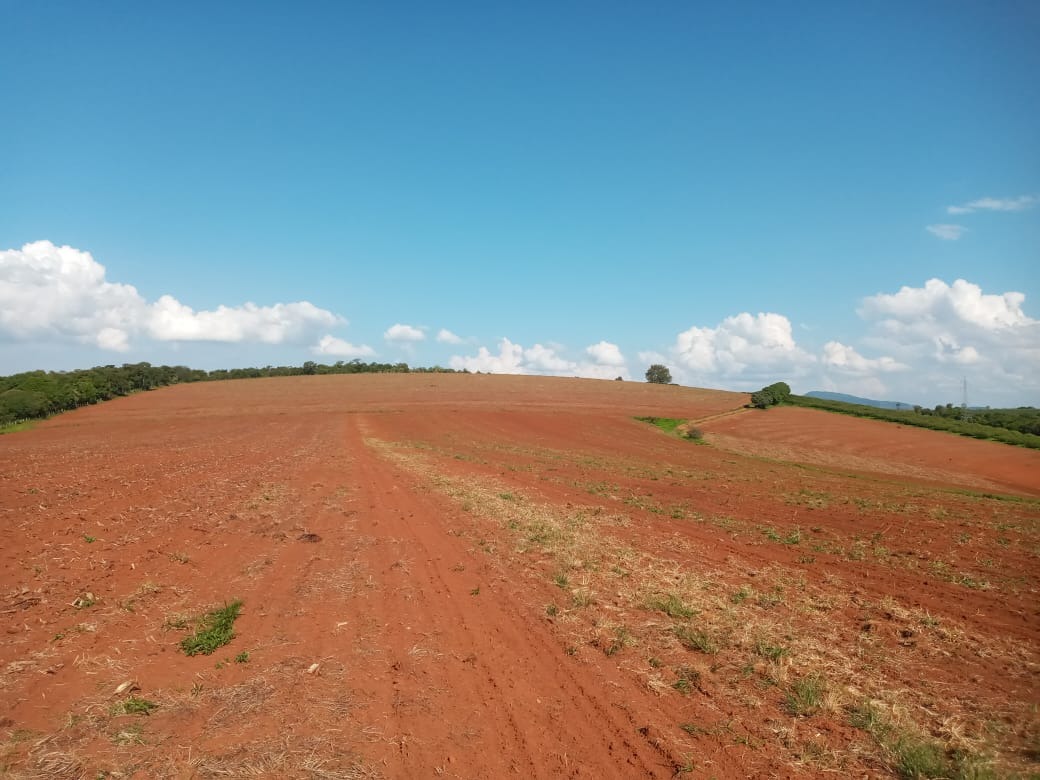 Terreno à venda, 400000m² - Foto 7