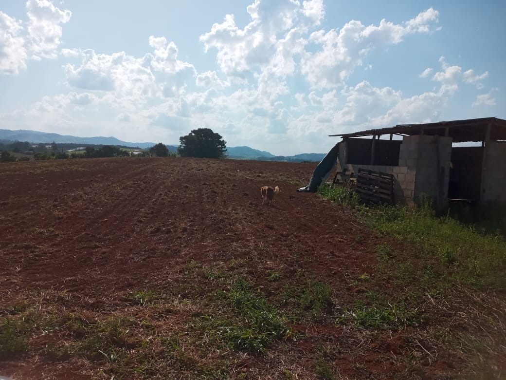 Terreno à venda, 400000m² - Foto 8