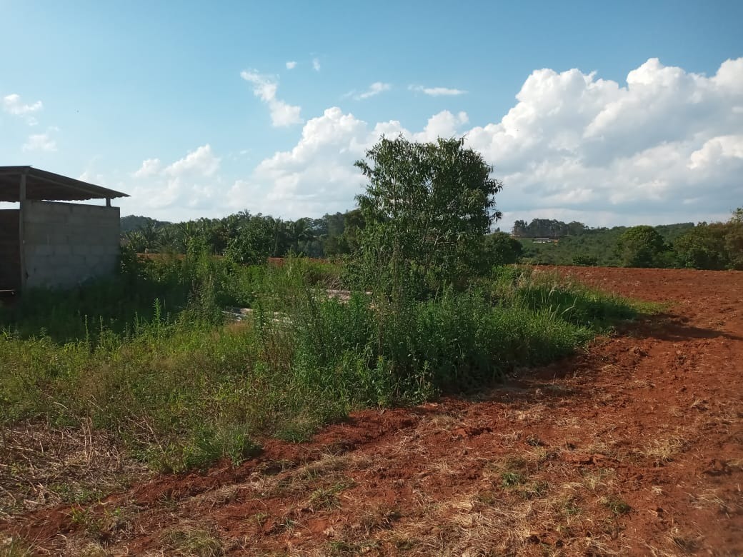 Terreno à venda, 400000m² - Foto 9